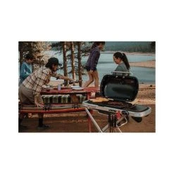 Weber Traveler Portable Gas BBQ 25 Weber Traveler Portable Gas BBQ -Weber Store BCF 618341 13 hi res