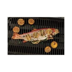 Weber Traveler Portable Gas BBQ 27 Weber Traveler Portable Gas BBQ -Weber Store BCF 618341 15 hi res